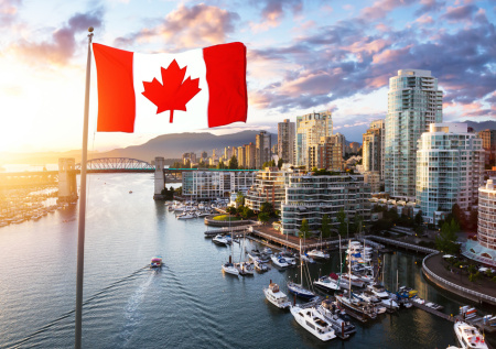 В Канаде раскрыли шокирующую статистику по эвтаназии