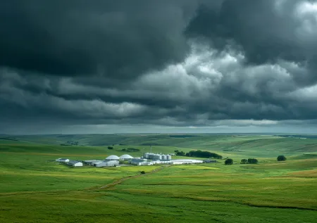 «Настроение явно изменилось»: в Европе появилась «ферма Судного дня»