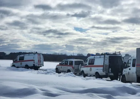 Добровольцы раскрыли масштабы поиска пропавших в Звенигороде детей