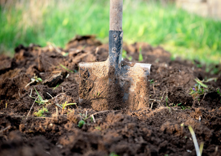Весеннее преображение почвы: 4 легких способа сделать землю плодородной