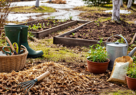 Календарь работ в саду на март — что важно сделать сразу после схода снега