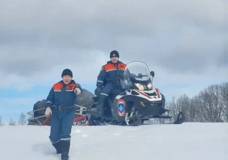 Жителей Подмосковья призвали не искать пропавших в Звенигороде детей