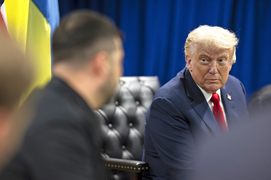 Дональд Трамп и Владимир Зеленский