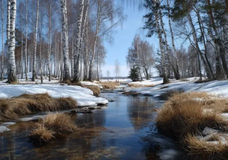 Приметы 11 марта — Порфирий Поздний: день, когда весна «зубы показывает»