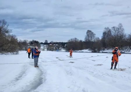 Волонтеры раскрыли, кто занимается поиском пропавших в Звенигороде детей