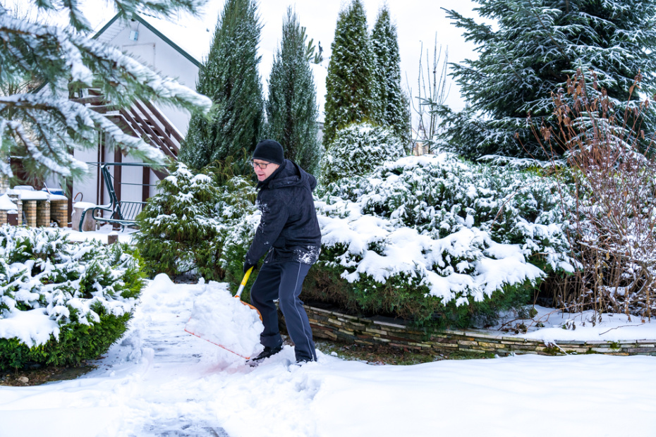 5 правил уборки снега весной на участке: как сохранить растения и увлажнить землю