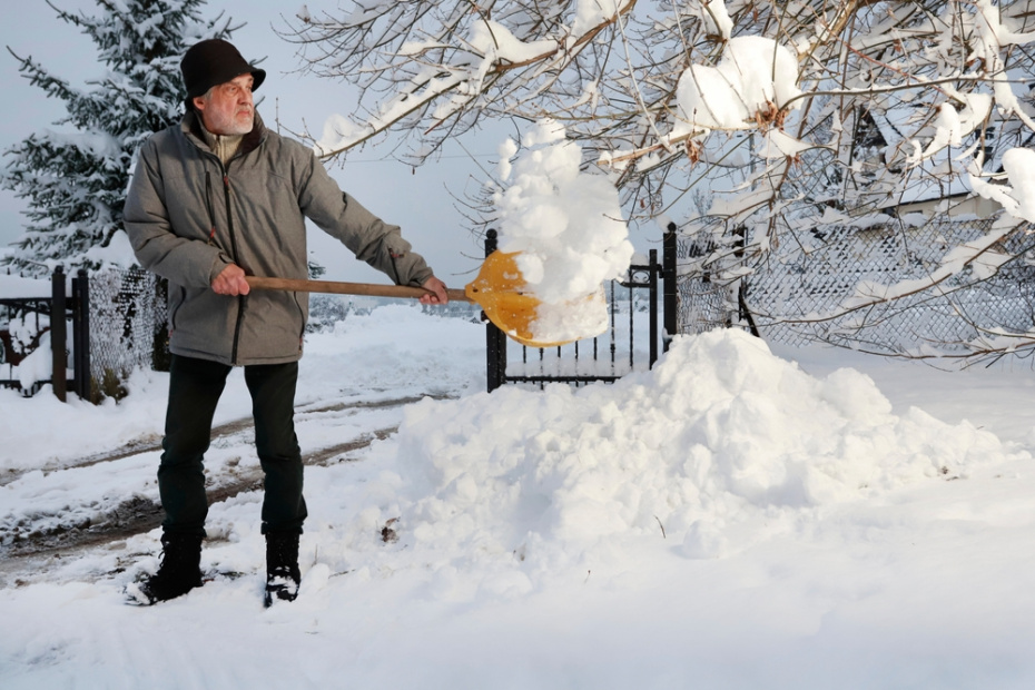 5 правил уборки снега весной на участке: как сохранить растения и увлажнить землю