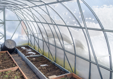 Никакой фитофторы и мучнистой росы: простой рецепт с хозяйственным мылом для обработки теплиц