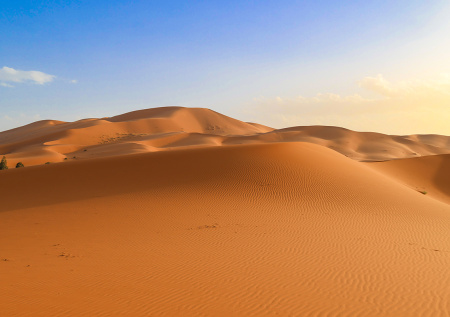 Дюны в пустыне Сахара внезапно сменили цвет