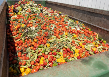 В Молдавии десятки тонн овощей отправили на свалку