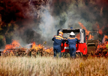 Проект по защите поселений от лесных пожаров запустят в одном регионе