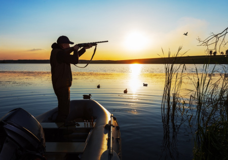Гусь летит, медведь проснулся: на кого и где открыта весенняя охота