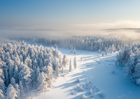 Отец четырех детей замерз с сыном насмерть в красноярской тайге