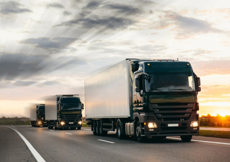 В одной из областей России запретили грузовики ради сохранности асфальта