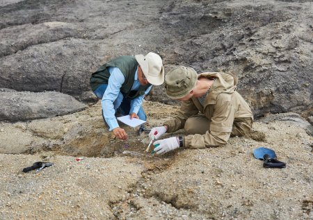 В Нью-Мексико нашли кость одного из крупнейших тираннозавров