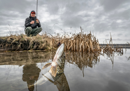 Щука ранней весной: стратегия, снасти и лучшие места — раскрываем секреты