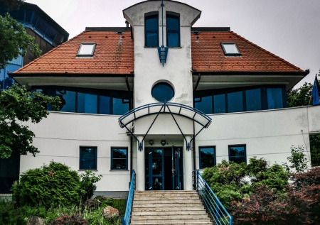 Украинское посольство в Венгрии «украсили» свиной головой