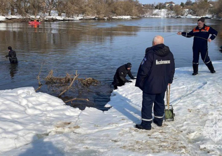 Появились новые подробности поиска детей в Звенигороде