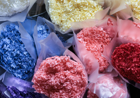 Тропический цветок может исчезнуть из букетов россиян