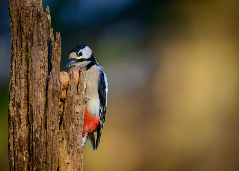 Приметы 15 марта