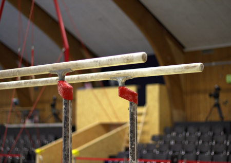 Старший тренер сборной Украины по спортивной гимнастике сбежал из страны