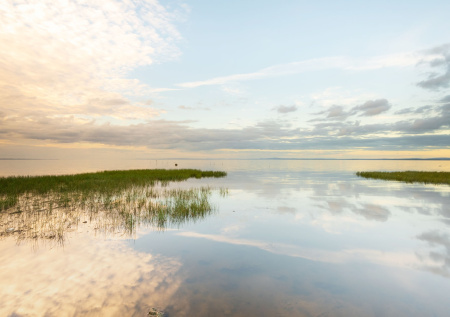 Убийц антибиотиков нашли в озере с питьевой водой для миллионов людей