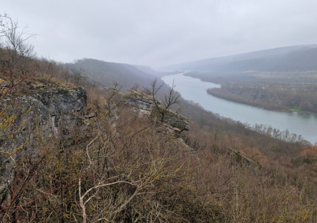 В Молдавии заговорили об объявлении режима экологической тревоги на Днестре