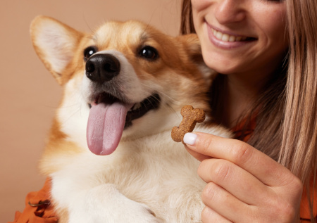 Ветеринар назвал важный нюанс в кормлении домашних животных