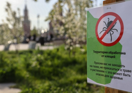 Жителям Подмосковья напомнили, когда начнется пик активности клещей
