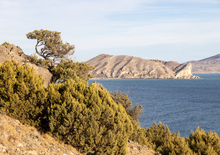 Сенатор назвал способ повысить популярность российских курортов