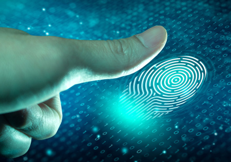 Россияне стали чаще заходить на сайты по отпечатку пальца и скану лица