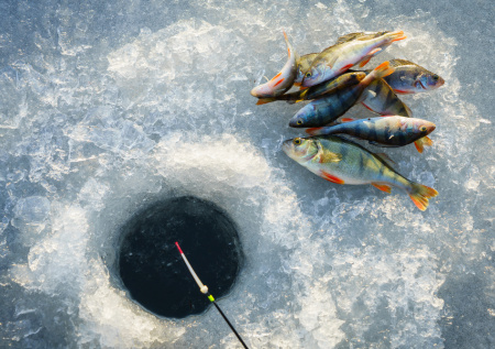 Почему рыбалка в СССР была настоящей народной страстью: 5 главных причин