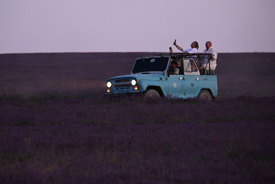 Туристы на плантациях лаванды в Бахчисарайском районе у села Тургеневка в Крыму