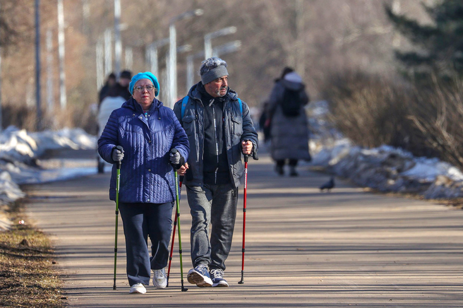 Люди занимаются скандинавской ходьбой в парке