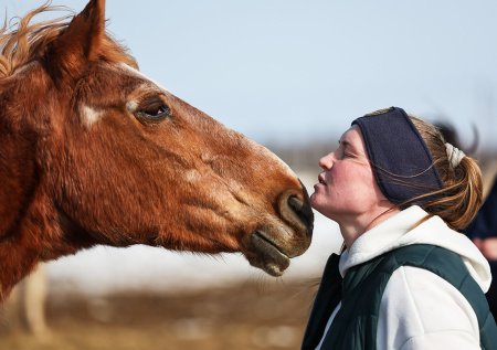 Хоспис для лошадей: как в Подмосковье спасают от бойни «ненужных» животных