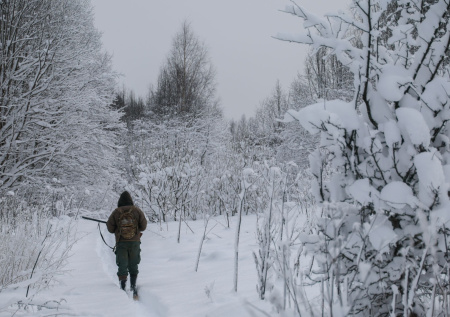 В российских заповедниках могут появиться военные базы