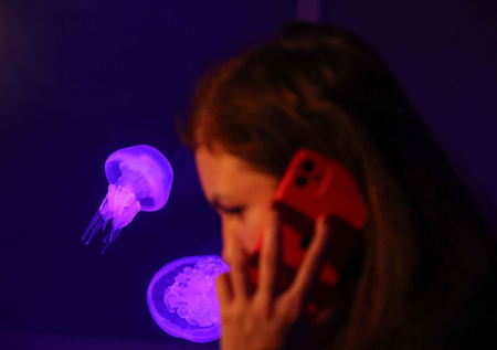 Психолог объяснила феномен комфортных людей