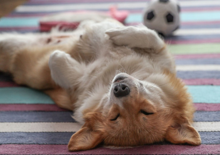 Психолог раскрыла эффективную технику для обретения счастья