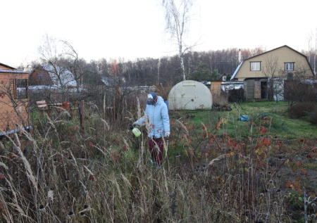 Россиянам рассказали о расходах на регистрацию дачного дома