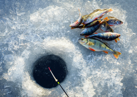 Бюджетное удилище своими руками: нахлыст, кобылка и спиннинг за вечер