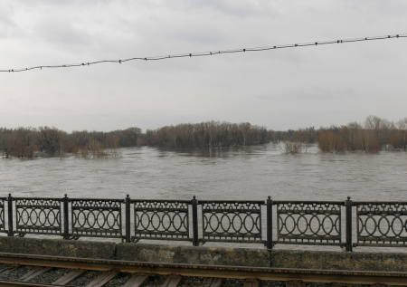 В Подмосковье началось половодье