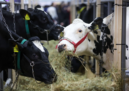 Что известно о новом запрете для фермеров в Сибири