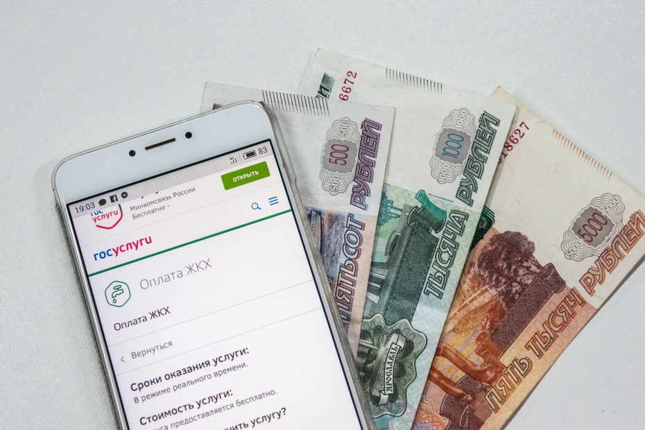 Кто может рассчитывать на помощь от государства