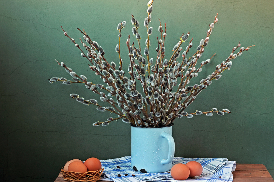 Что можно и нужно делать 20 марта