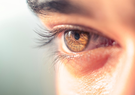 Экономист оценил идею идентифицировать россиян по радужке глаза