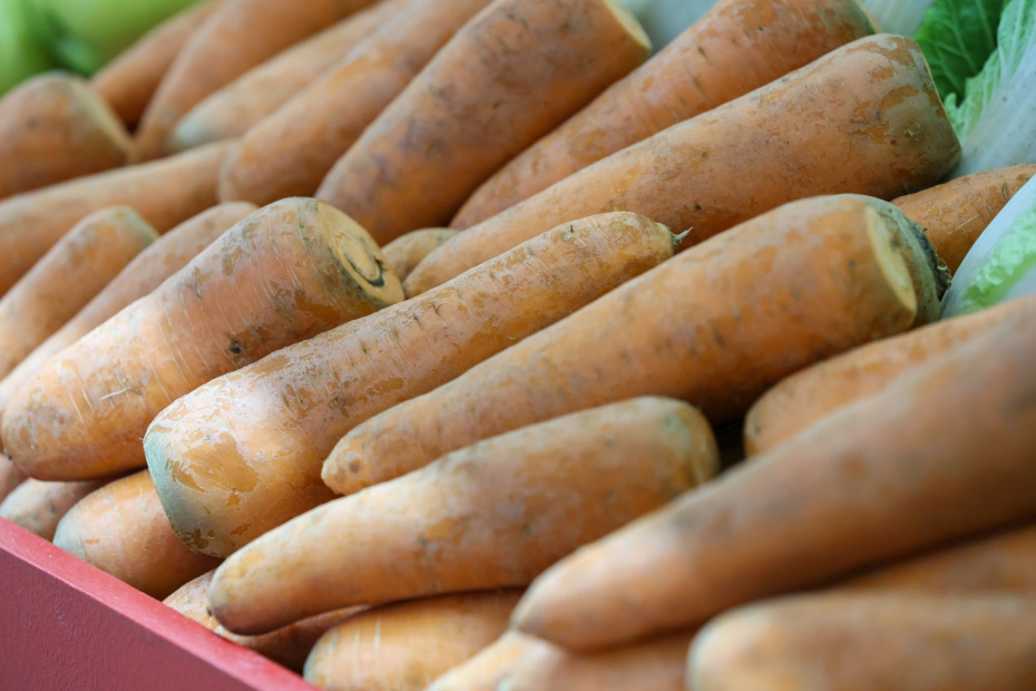 10 раннеспелых сортов овощей: капуста, редис, кабачки, бобовые