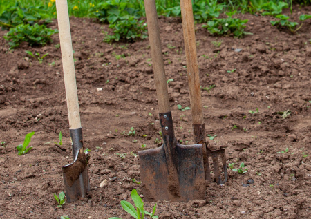 В Союзе дачников рассказали, какие удобрения подготовят почву после зимы