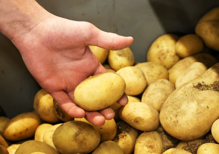 Россия попала в число лидеров по доступности популярного овоща