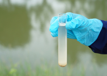 Жителям Краснодарского края рассказали о загрязнении реки Кубань