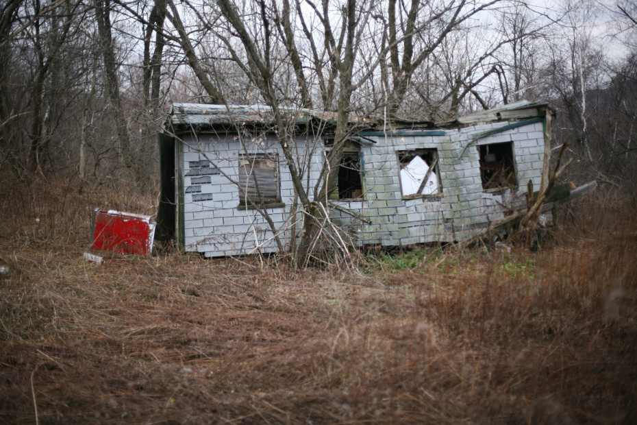 Сентрейлия (США)